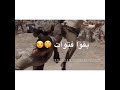 نزرع حب نحصد غدر ادعموني باشترك 