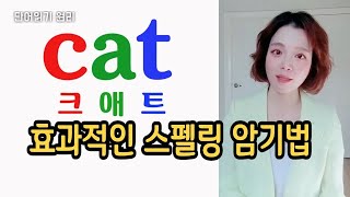 [엄마표영어] 효과적인 영어 스펠링 암기법/ 알면 편한 스펠링 기본규칙 #스펠링 외우기 #스펠링 쓰기 #스펠링 읽기