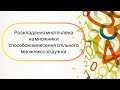 7 клас Алгебра. Розкладання многочленів на множники способом винесенння спільного множника за дужки