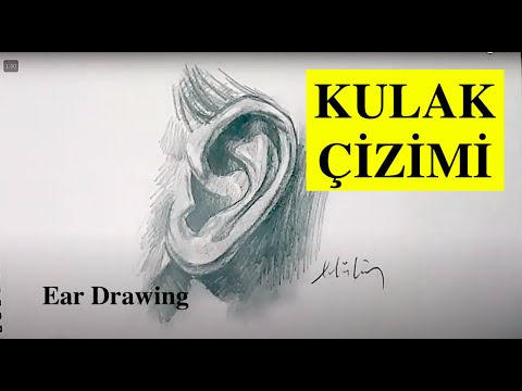 Kulak Çizimi | Ear Drawing