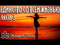 Экхарт Толле\Единство со всей жизнью\Часть3