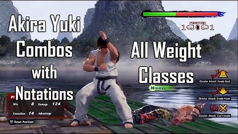 Virtua Fighter 5 Akira High Damage Combos - All Weight Classes