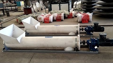 Poultry Auger Feeder