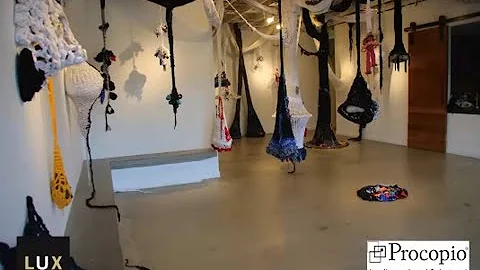 Michelle Montjoy Artist Talk and Exhibit Tour at L...