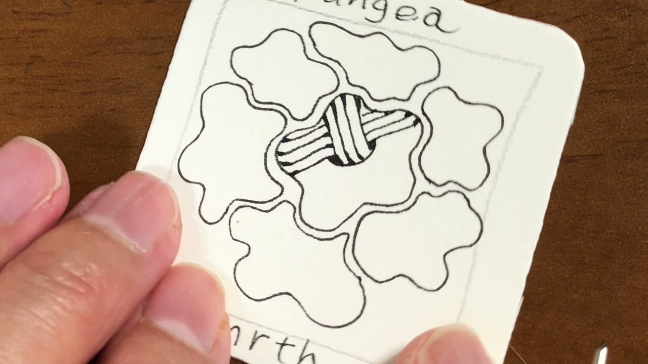 Zentangle® Tangle Panzia and Mousse - YouTube