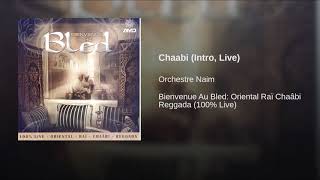 Chaabi(intro-live) oriental raï chaâbi💖