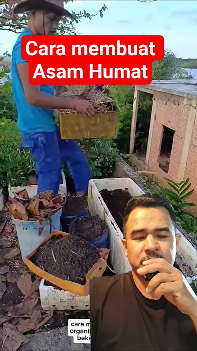 seperti inilah cara membuat asam humat atau kompos #farming #petani