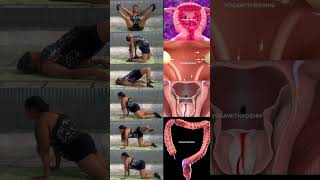 Yoga for pcod pcos fibroid #pcod #pcos #fibroid #fibroid #weightloss #periods
