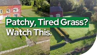 Lawn Recovery made simple | Scarification, seeding and more