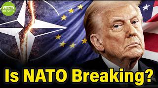 Is Nato Breaking Apart? A 77-year Alliance Faces Its Biggest Test Yet I China Insights