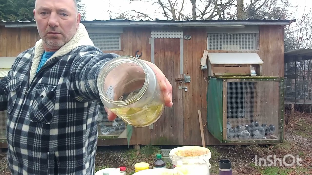 Co nowego  ogladac....