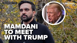 Mamdani to step on Trump’s turf: What is expected for the meeting between the two leaders?