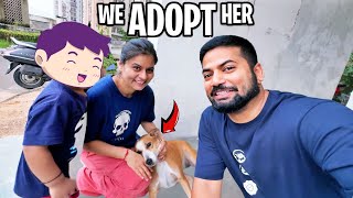 Download Lagu We Are ADOPTING Her 😍 MP3 Download Lagu We Are ADOPTING Her 😍 MP3