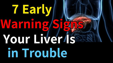 7 Early Warning Signs Your Liver Is in Trouble
