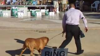 The French Clubmatch 2010