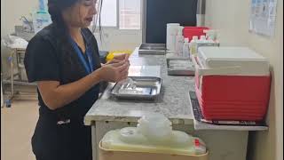 Comité Paritario 2025