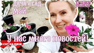 ВЛОГ | ЧТО НОВОГО? | КУДА ИСЧЕЗЛО ДЕРЕВО? | ЧТО ТАКОЕ РОЗЫ ADR