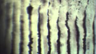 Ultrasound directed self-assembly of diamond nanoparticles