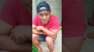 lagu yang lagi viral#shorts