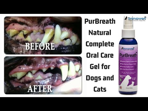 purbreath-natural-complete-oral-care-gel-for-dogs-and-cats