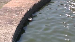 Sutcliffe Clockwork Model Boat