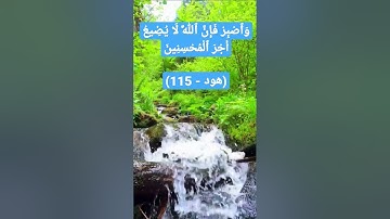 وَٱصْبِرْ فَإِنَّ ٱللَّهَ لَا يُضِيعُ أَجْرَ ٱلْمُحْسِنِينَ(هود - 115) القارئ إسلام صبحي