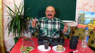 видео: Так мы выращиваем супер ранние огурчики уже более 20 лет! Начните сейчас  это делать со мной! картинка: Так мы выращиваем супер ранние огурчики уже более 20 лет! Начните сейчас  это делать со мной!