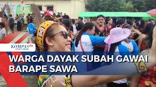 Warga Subah Kembali Gelar Gawai Barape Sawa Perdana setelah 21 Tahun