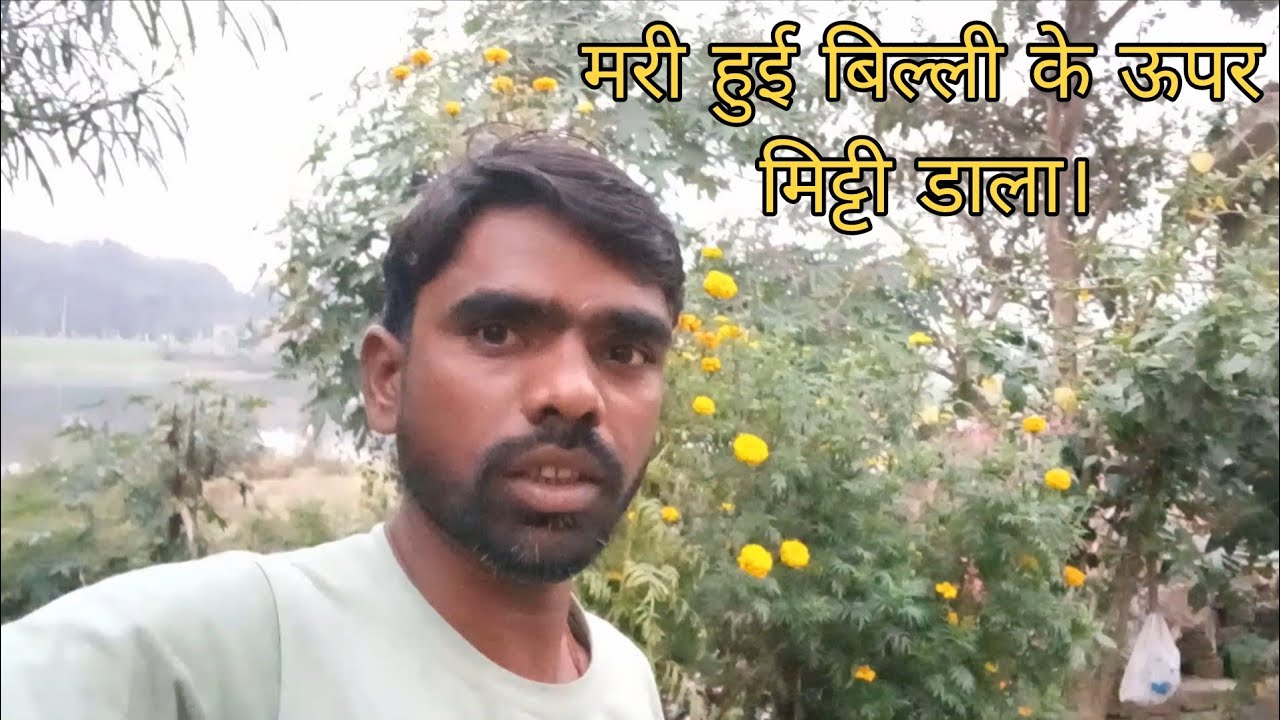 Mari Hui Billi ke upar mitti Dala