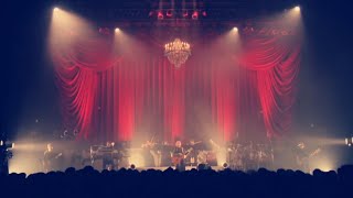 Video thumbnail of "Alone - ReoNa『Live』"