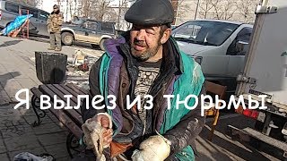 3 сезон 11 серия (Я вылез из тюрьмы)