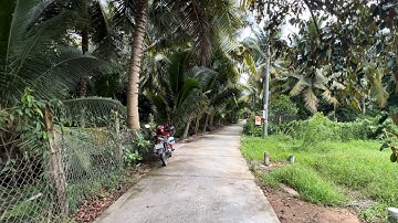 @T1412 Bán Đất Đường ÔTô Có Thổ Cư Giá 550 Triệu Tại Xã Bình Trưng - Châu Thành - Tiền Giang