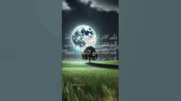 #تلاوة_خاشعة #راحة_نفسية #قرآن #لايك #اكسبلور #quran #حالات_واتس