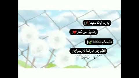 سورة النمل /وَإِنَّ رَبَّكَ لَذُو فَضْلٍ عَلَى النَّاسِ وَلَٰكِنَّ أَكْثَرَهُمْ لَا يَشْكُرُونَ .