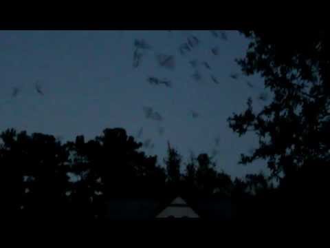 YouTube video MSFW2LHri7Q thumbnail