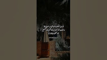 القرآن الكريم #اكسبلور #explore#fyp#duet#reels