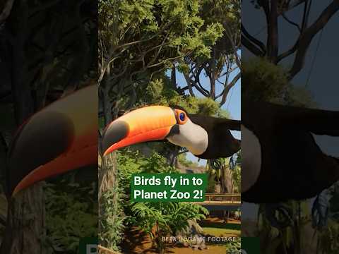Birds fly in to #PlanetZoo2! 🐦