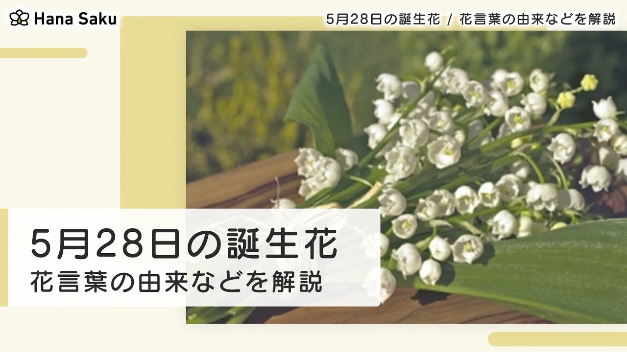 5月28日の誕生花 花言葉の由来 誕生日の有名人 何の日かも解説 Hanasaku