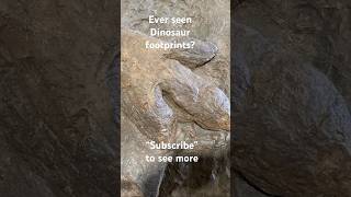 POV: Dinosaur tracks and footprints in Utah!#footprints #dinosaurs #paleontology #fossils #stgeorge