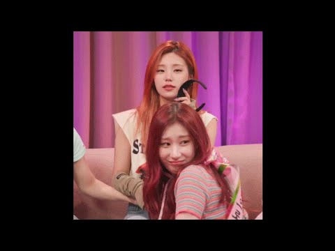 [Itzy] 생일빵