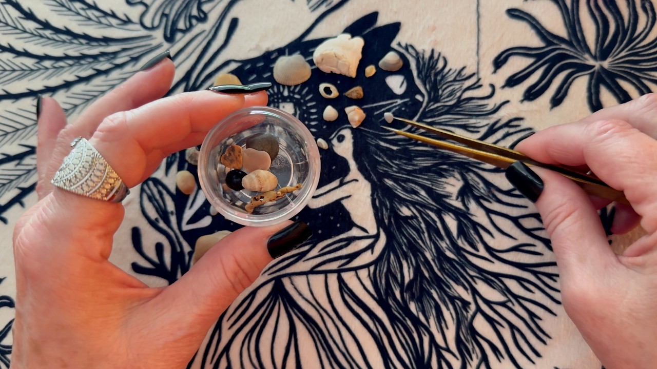 Super Relaxing ASMR Tiny Seashell Collection (Whispered, Gum Chewing ˖°𓇼🌊⋆🐚🫧🍬)