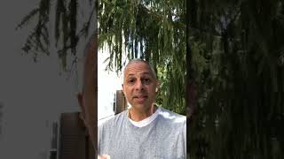 How To  A Happy Positive Life positivewill positive positivity