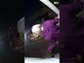 Raccoon took that personally! 🦝 #wildlife #cctv #afv #fails