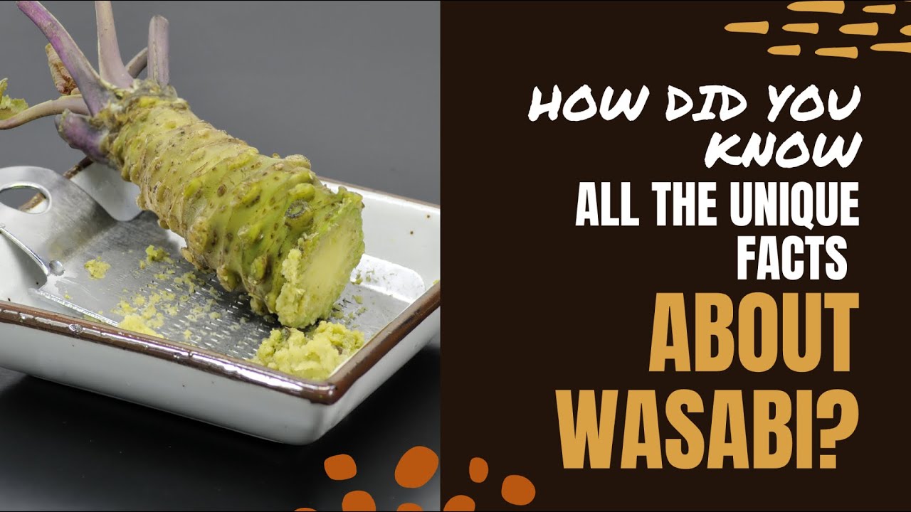 Unique Food Facts About Wasabi That You Should Know Now