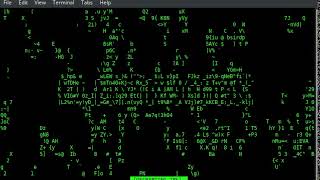 Python & C porting and using shared library