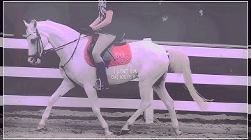 foolish, fragile spine