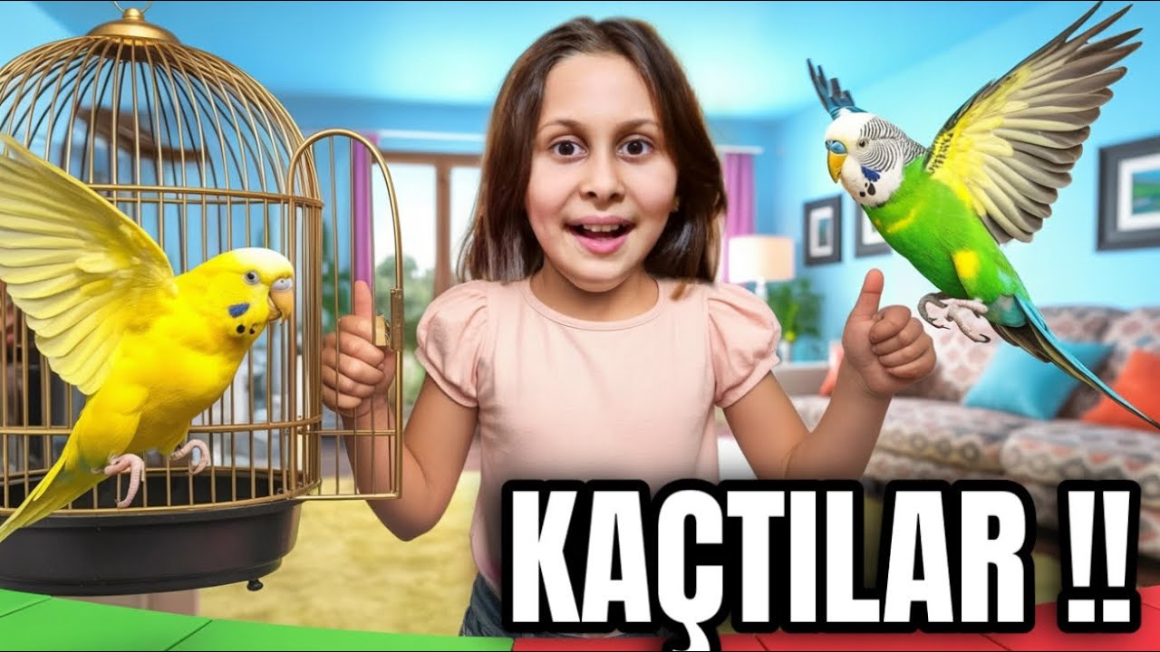 RÜYA SEDALI KAFESİ TEMİZLERKEN KUŞLARIMIZ KAÇTI