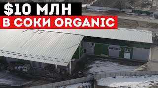 Как делают НАТУРАЛЬНЫЕ СОКИ прямого отжима в Кыргызстане — обзор!