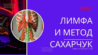 Про лимфатическую систему. Функции, проблемы, решения. Метод Сахарчук.