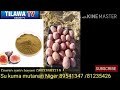 KINA SO KI QARA GIRMAN HIPS MAZAUNAI DA QIBA 